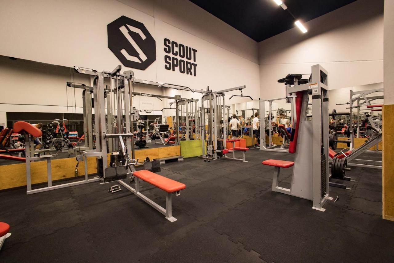 Scout 3*